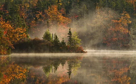 Woods reflecting in lake